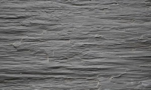 rheopole-contact